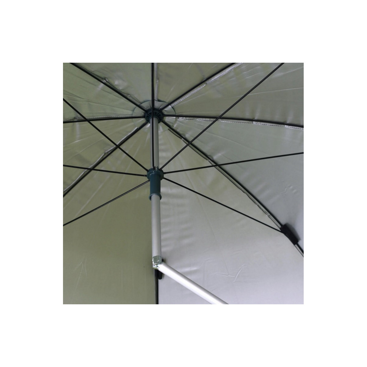 parasol-konger