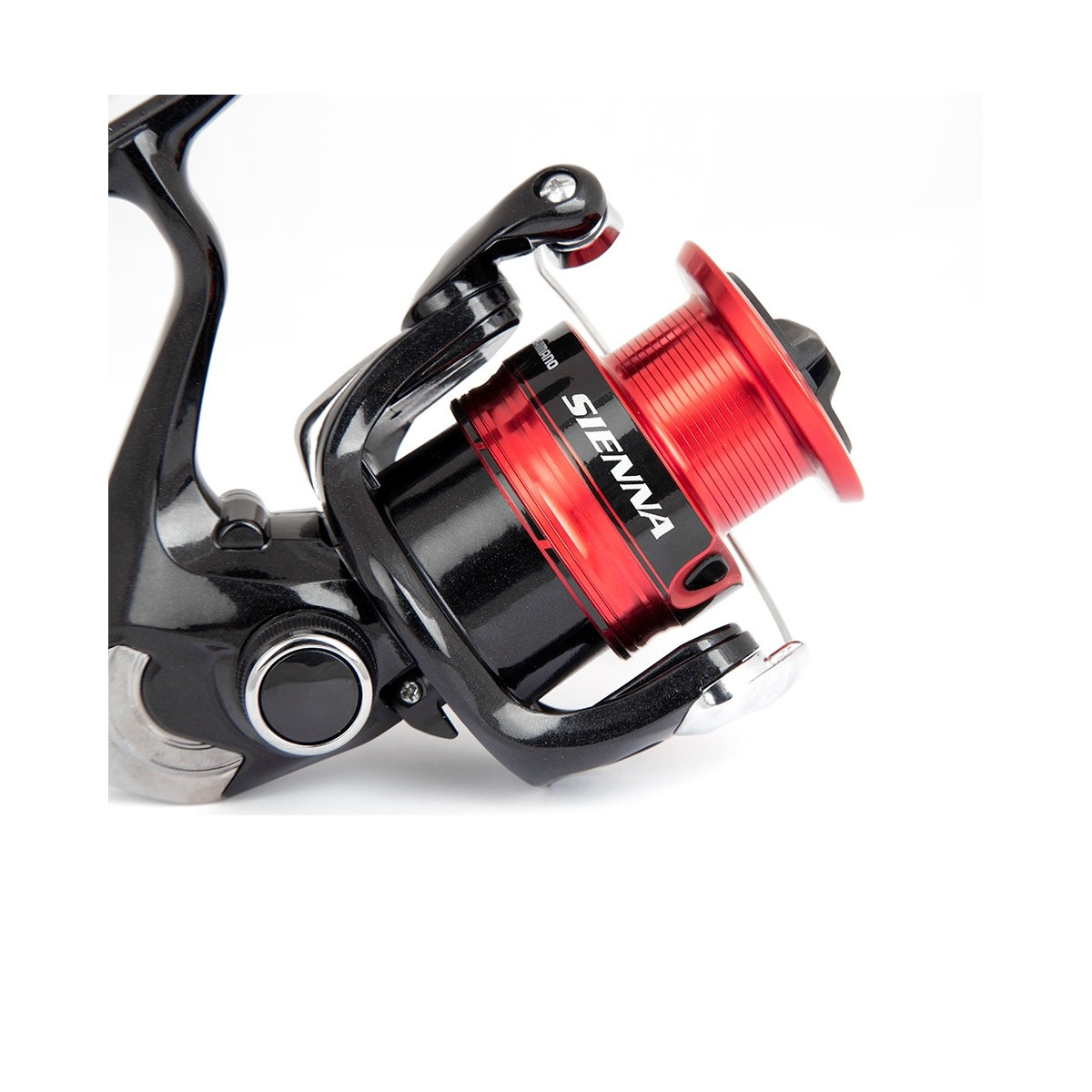 kolowrotek-sienna-fg-shimano kolowrotek-sienna-fg-shimano