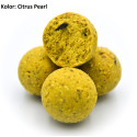 Kulki proteinowe Massive Baits LIMITED EDITION BOILIES 1kg / 18mm Kulki proteinowe Massive Baits LIMITED EDITION BOILIES 1kg / 18mm