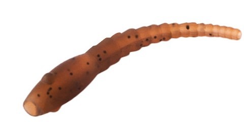 oslonka-wormer-the-end-delphin oslonka-wormer-the-end-delphin