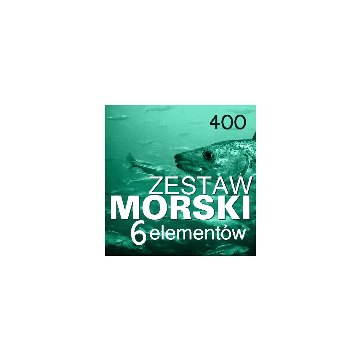 zestaw-morski-400-wedkarski-com