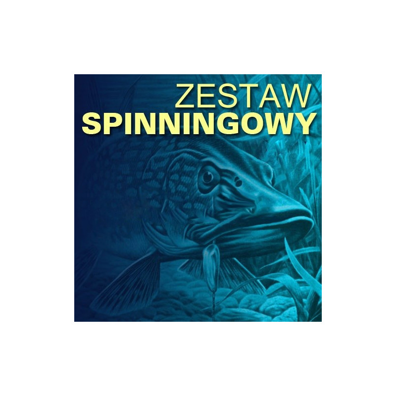 Zestaw spinningowy 300 ZESTAWSPINN300