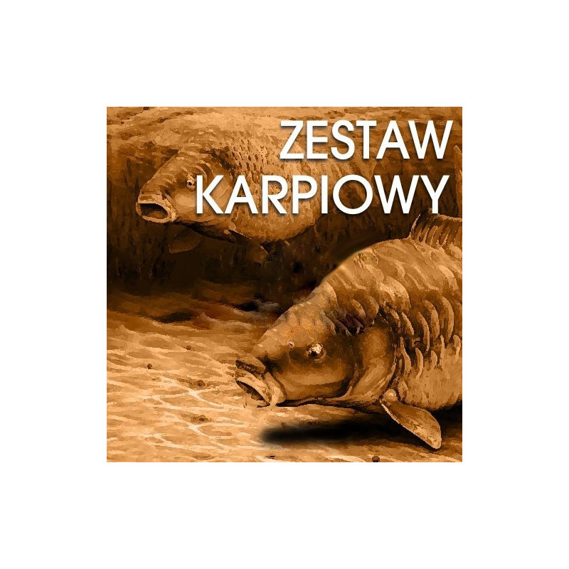 zestaw-karpiowy-400-wedkarski-com