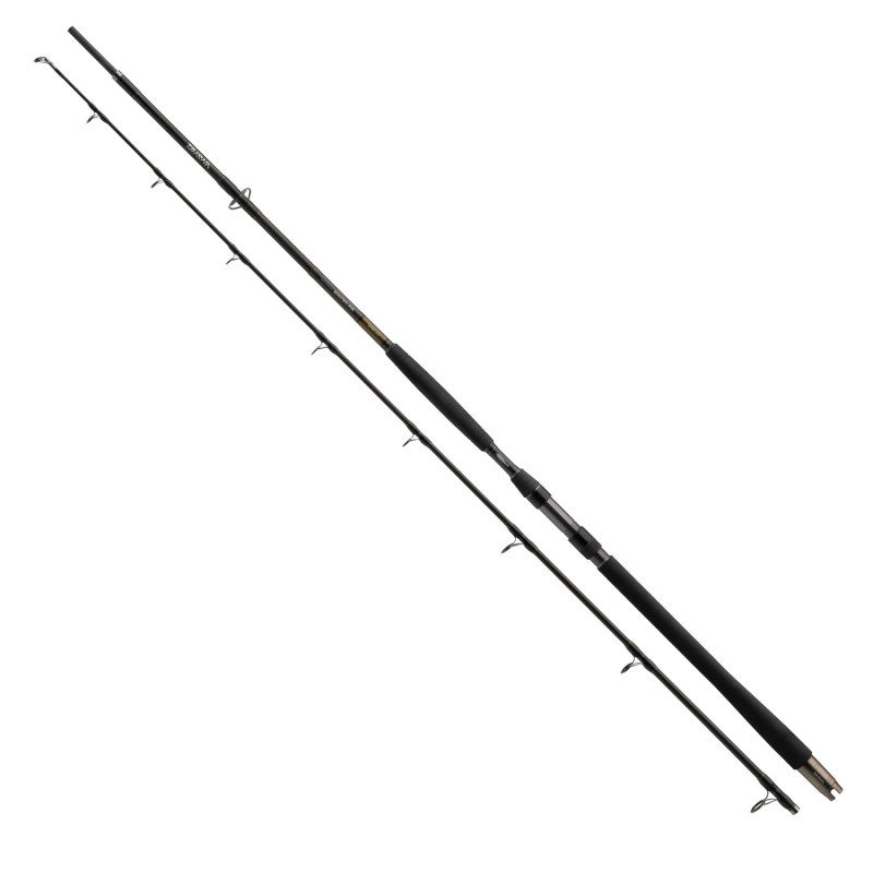 wedka-exceler-catfish-daiwa