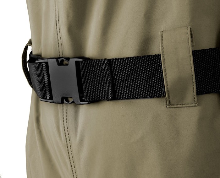 wodery-hron-delphin wodery-hron-delphin