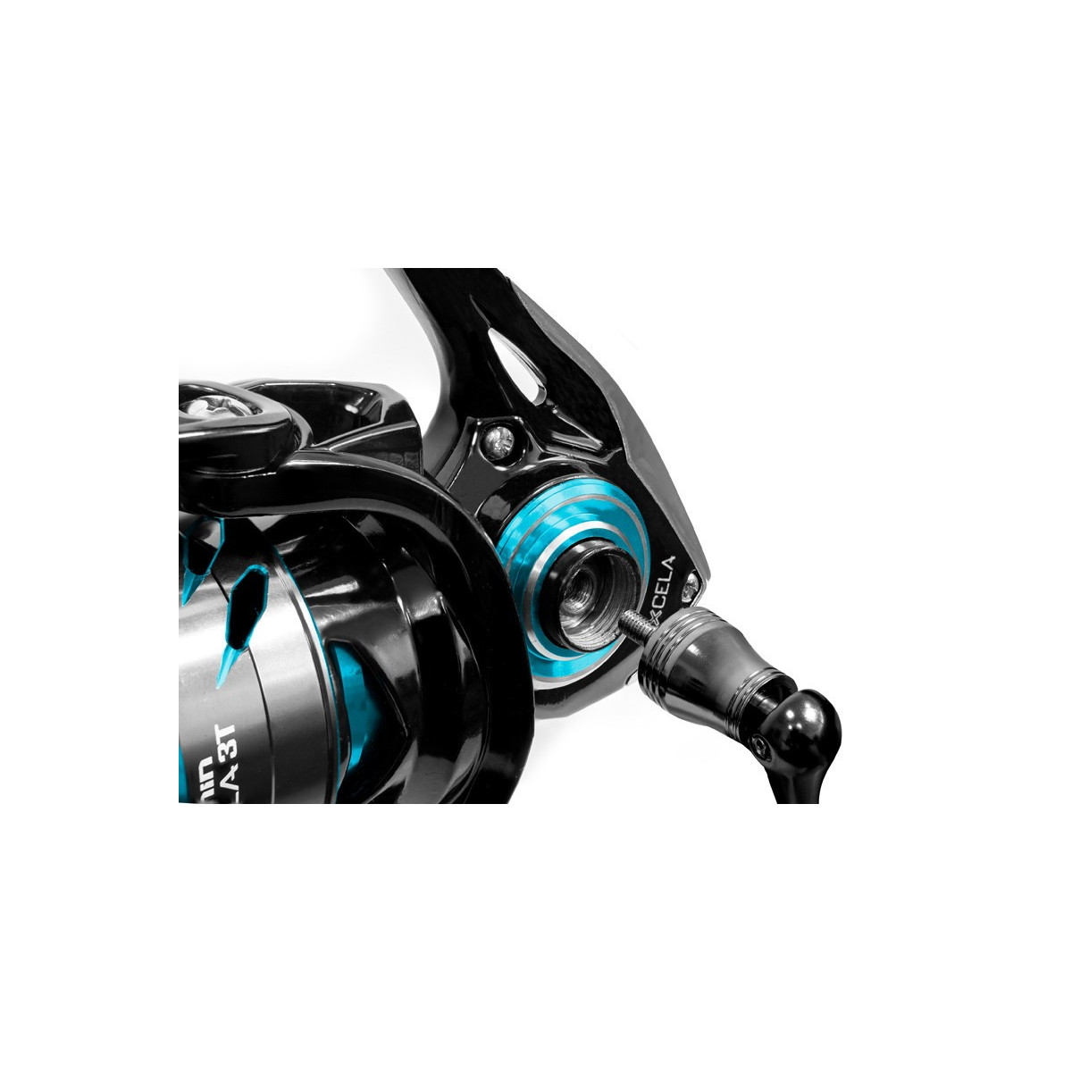 kolowrotek-ixcela-all-body-delphin kolowrotek-ixcela-all-body-delphin