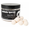 Kulki CC Moore NS1 Pop Ups 13/14mm - Northern Special White Kulki CC Moore NS1 Pop Ups 13/14mm - Northern Special White