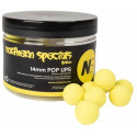 Kulki CC Moore NS1 Pop Ups 13/14mm - Northern Special Yellow Kulki CC Moore NS1 Pop Ups 13/14mm - Northern Special Yellow