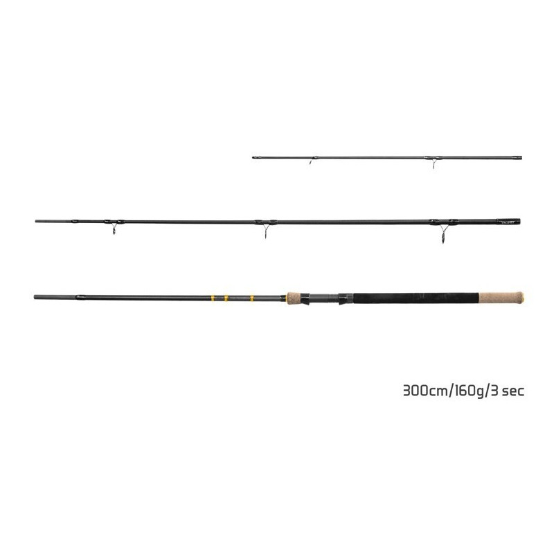 Wędka Delphin RIVER TROPHY NXT + 4 SZCZYTÓWKI 360cm / 200g
