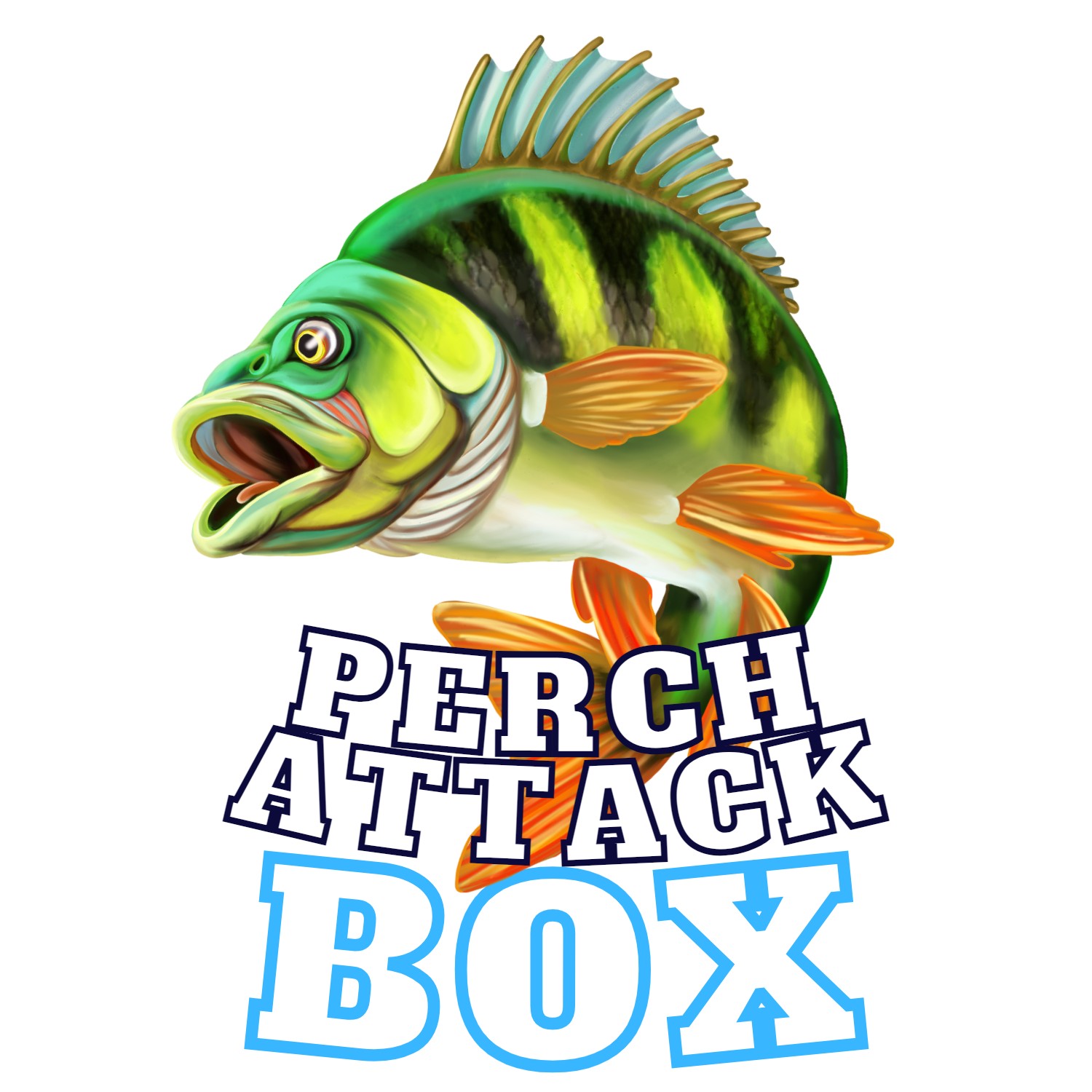 perch-attack-box-big-tajemniczy-zestaw-na-okonia-wedkarski-com