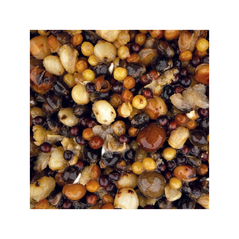 Ziarna Nash Small Seed Mix 2500ml Ziarna Nash Small Seed Mix 2500ml