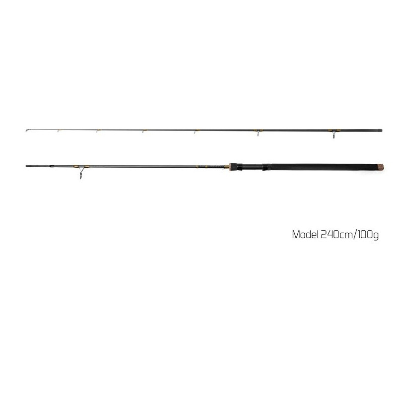 Wędka Delphin Murena 2 SKŁADY 240cm / 100g Wędka Delphin Murena 2 SKŁADY 240cm / 100g
