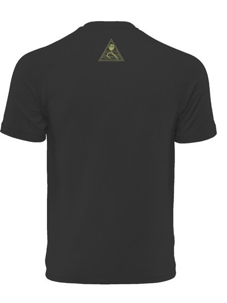 koszulka-icwt-delphin koszulka-icwt-delphin