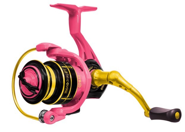 kolowrotek-queen-monodrag-delphin