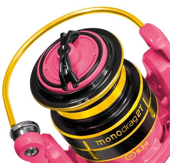 kolowrotek-queen-monodrag-delphin