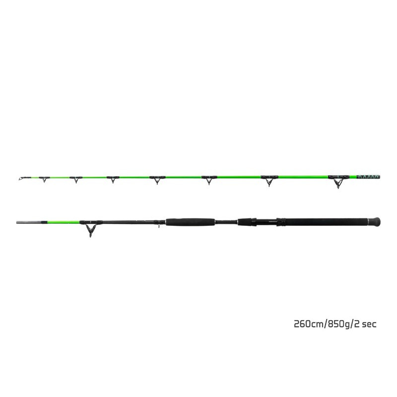 Wędka Delphin Walkyra 2 SKŁADY 300cm / 850g