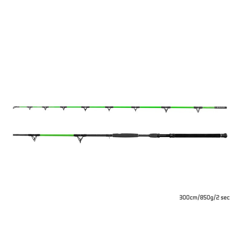 Wędka Delphin Walkyra 2 SKŁADY 300cm / 850g