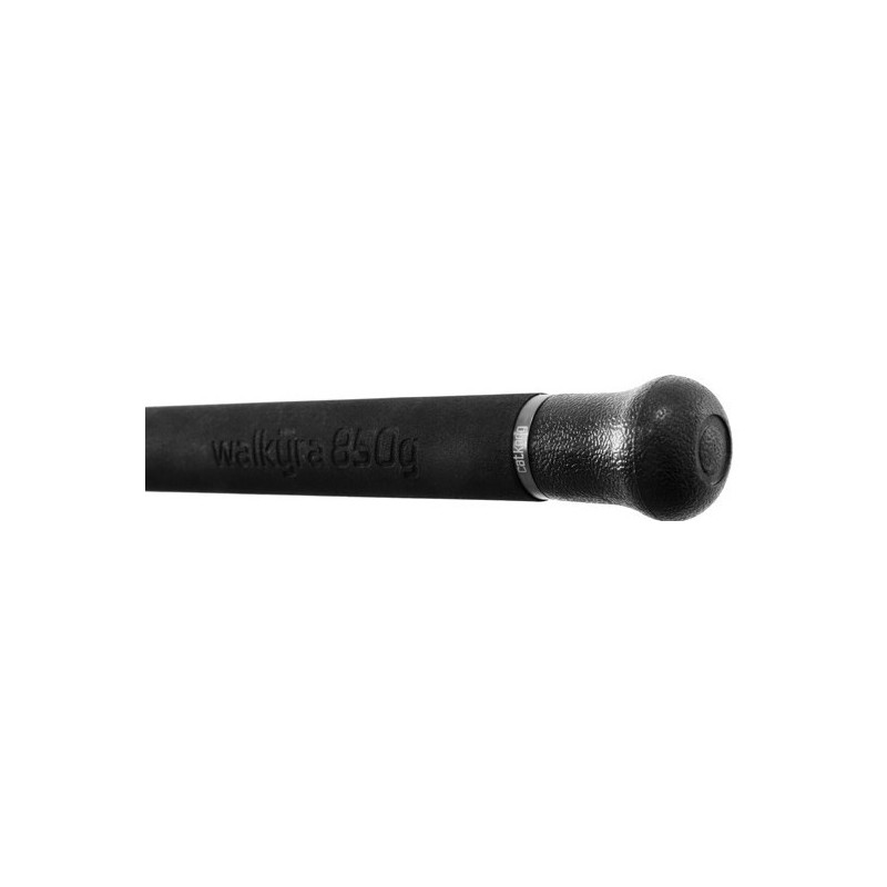 Wędka Delphin Walkyra 2 SKŁADY 260cm / 850g