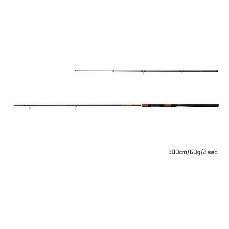 Wędka Delphin Rewir Picker + 3 szczytówki 300cm / 60g