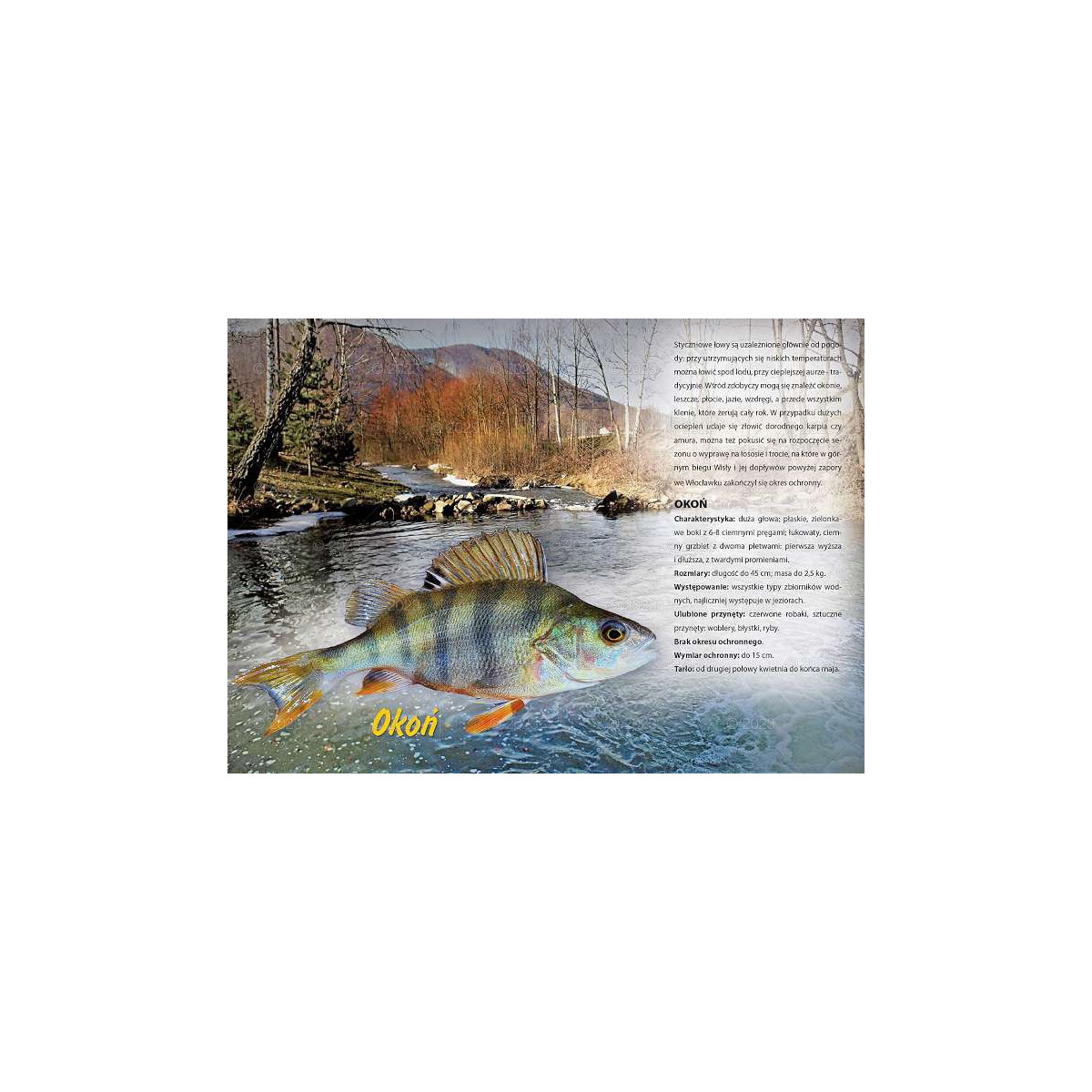 kalendarz-wedkarski-2023-lucrum kalendarz-wedkarski-2023-lucrum