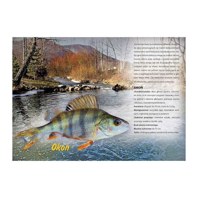 Kalendarz wędkarski 2023 WL12-2023 Lucrum Kalendarz wędkarski 2023 WL12-2023 Lucrum