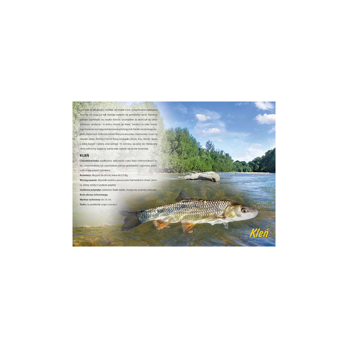 kalendarz-wedkarski-2023-lucrum kalendarz-wedkarski-2023-lucrum