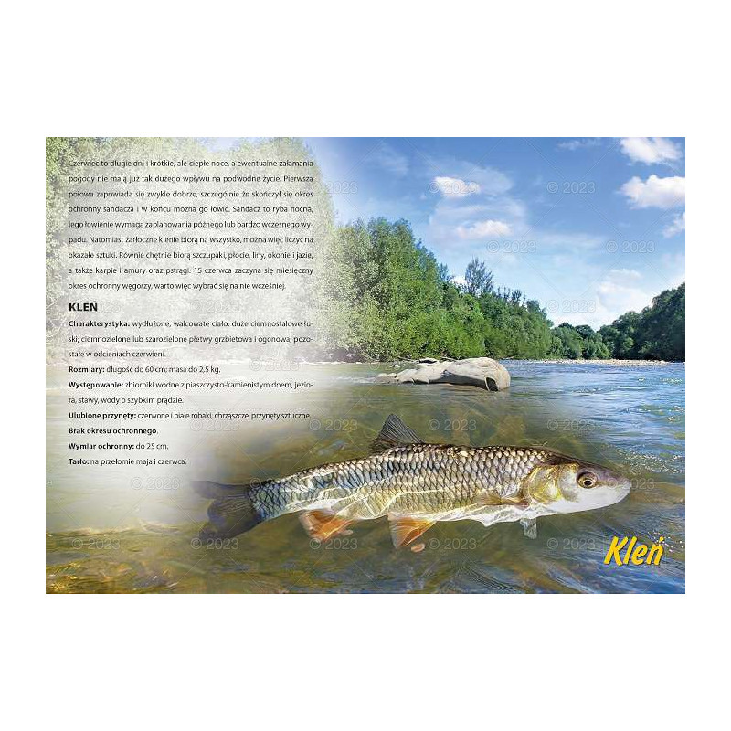 Kalendarz wędkarski 2023 WL12-2023 Lucrum Kalendarz wędkarski 2023 WL12-2023 Lucrum