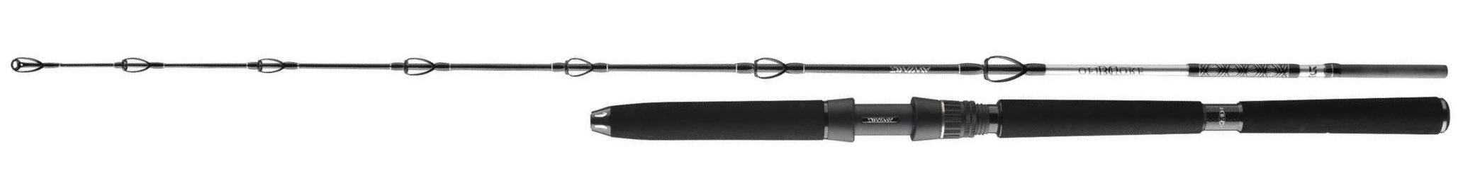 wedka-bg-deep-sea-daiwa wedka-bg-deep-sea-daiwa