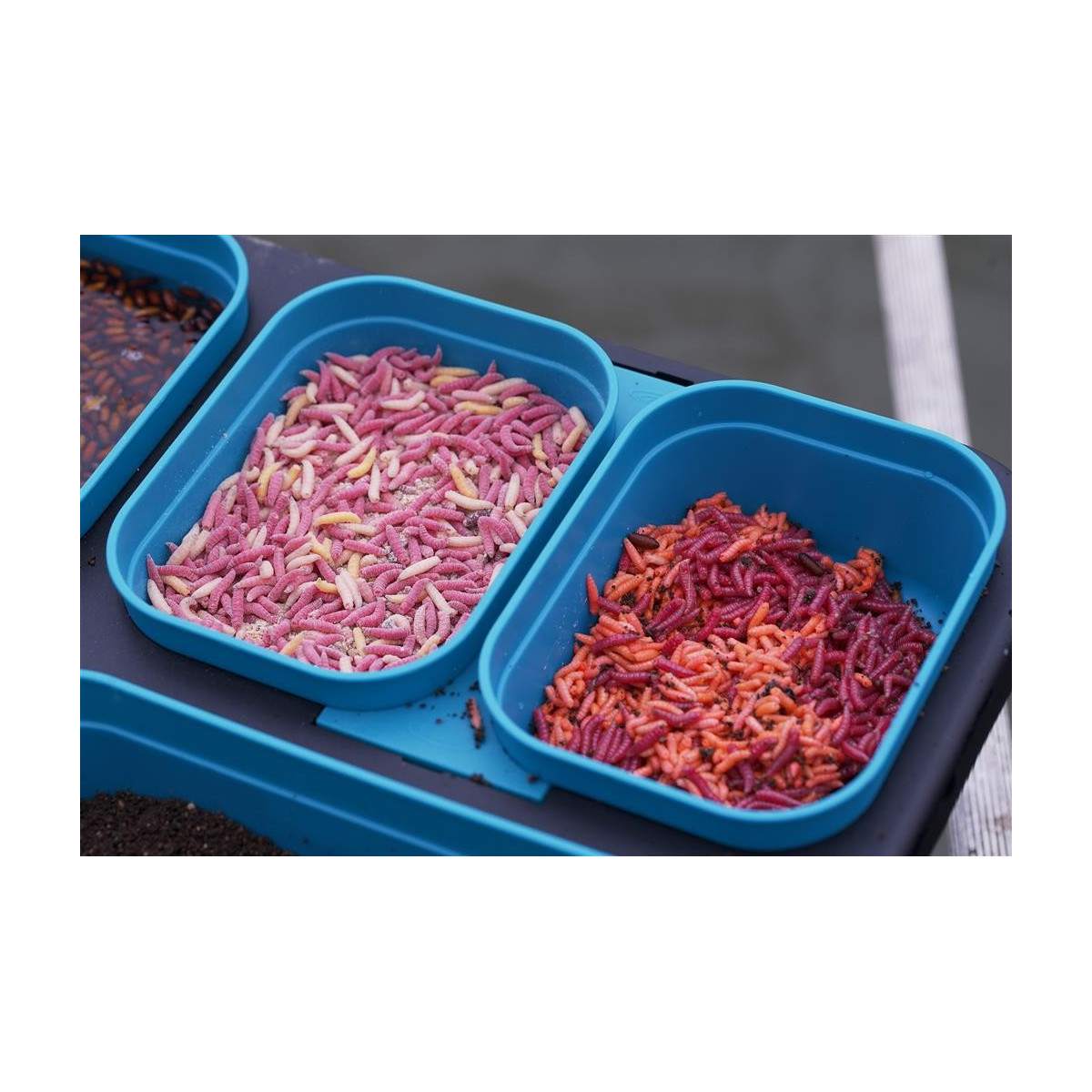 pudelko-modular-system-dms-bait-box-pokrywka-z-otworami-drennan pudelko-modular-system-dms-bait-box-pokrywka-z-otworami-drennan