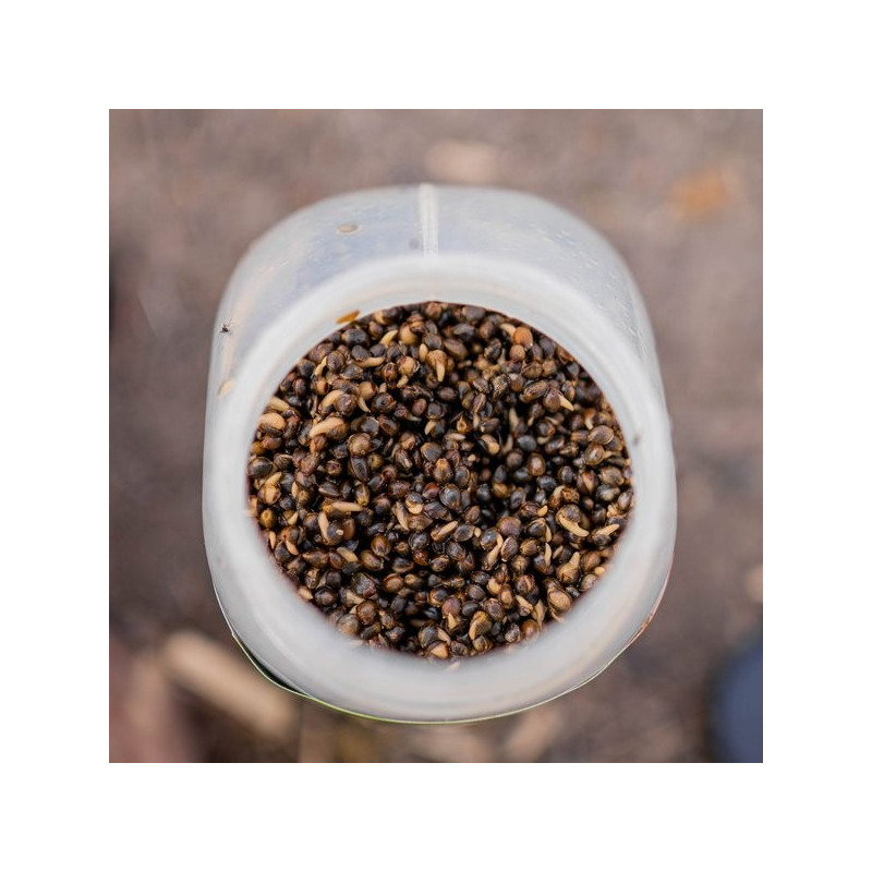 Ziarna w zalewie - Oily Hemp 2,5 l NASH