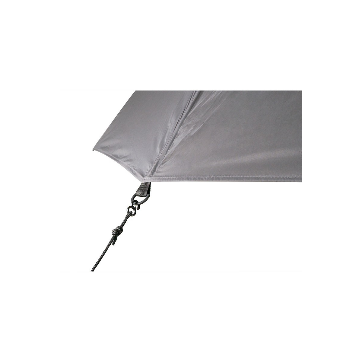 parasol-atoma-raceshad-delphin