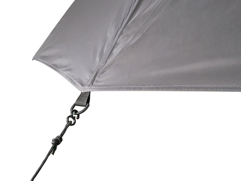 parasol-atoma-raceshad-delphin parasol-atoma-raceshad-delphin