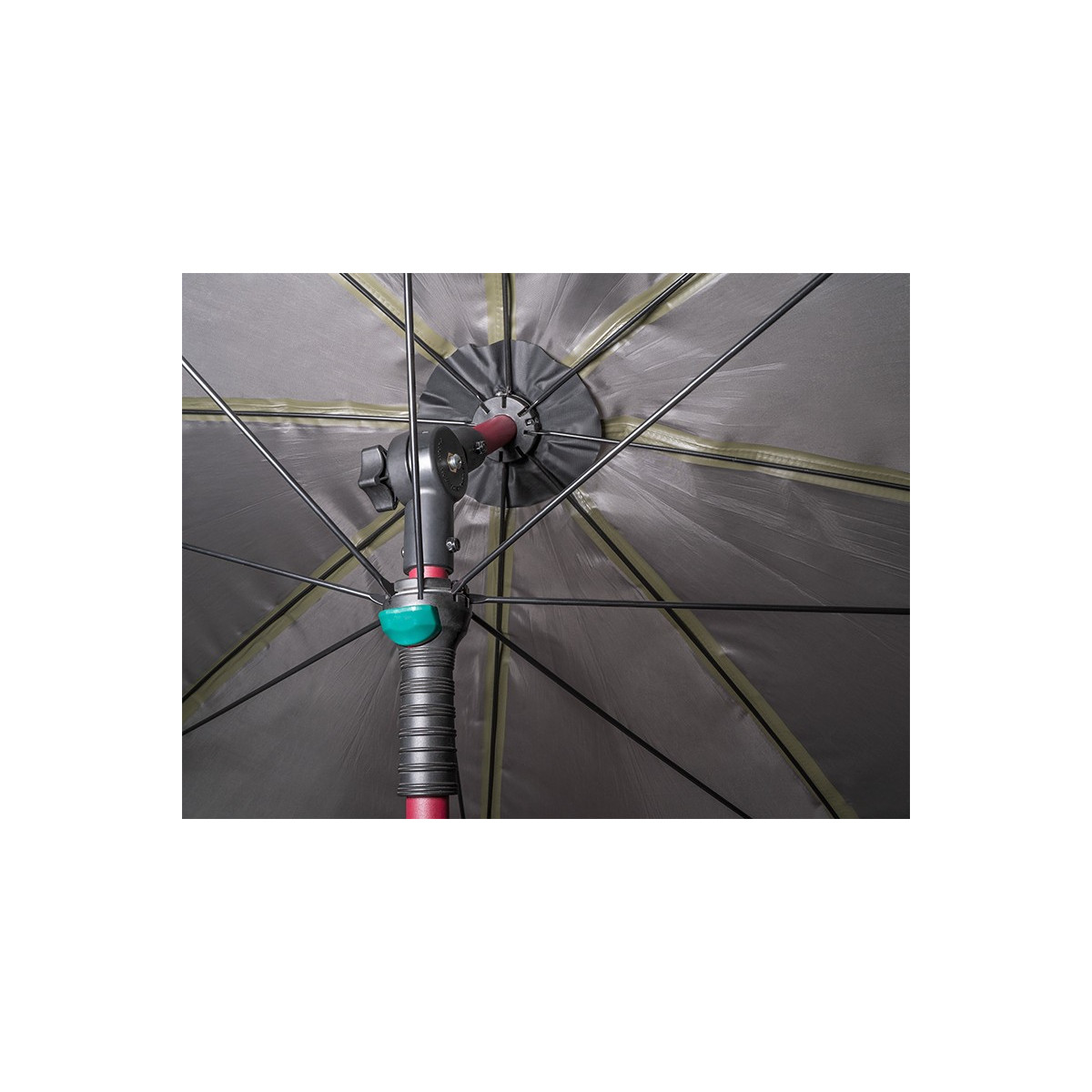 parasol-atoma-raceshad-delphin