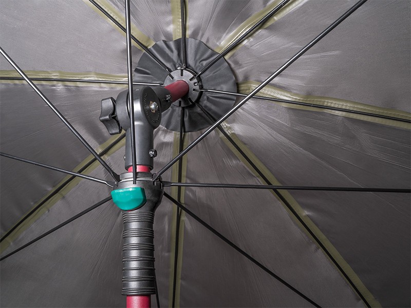 parasol-atoma-raceshad-delphin parasol-atoma-raceshad-delphin