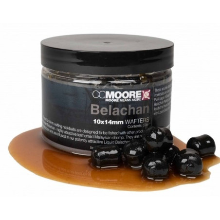 Kulki w zalewie CC Moore Wafters 10x14mm - Belachan