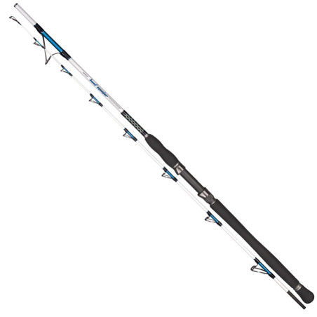 Wędka Dragon Boat Master Jig 200cm / 40-200g