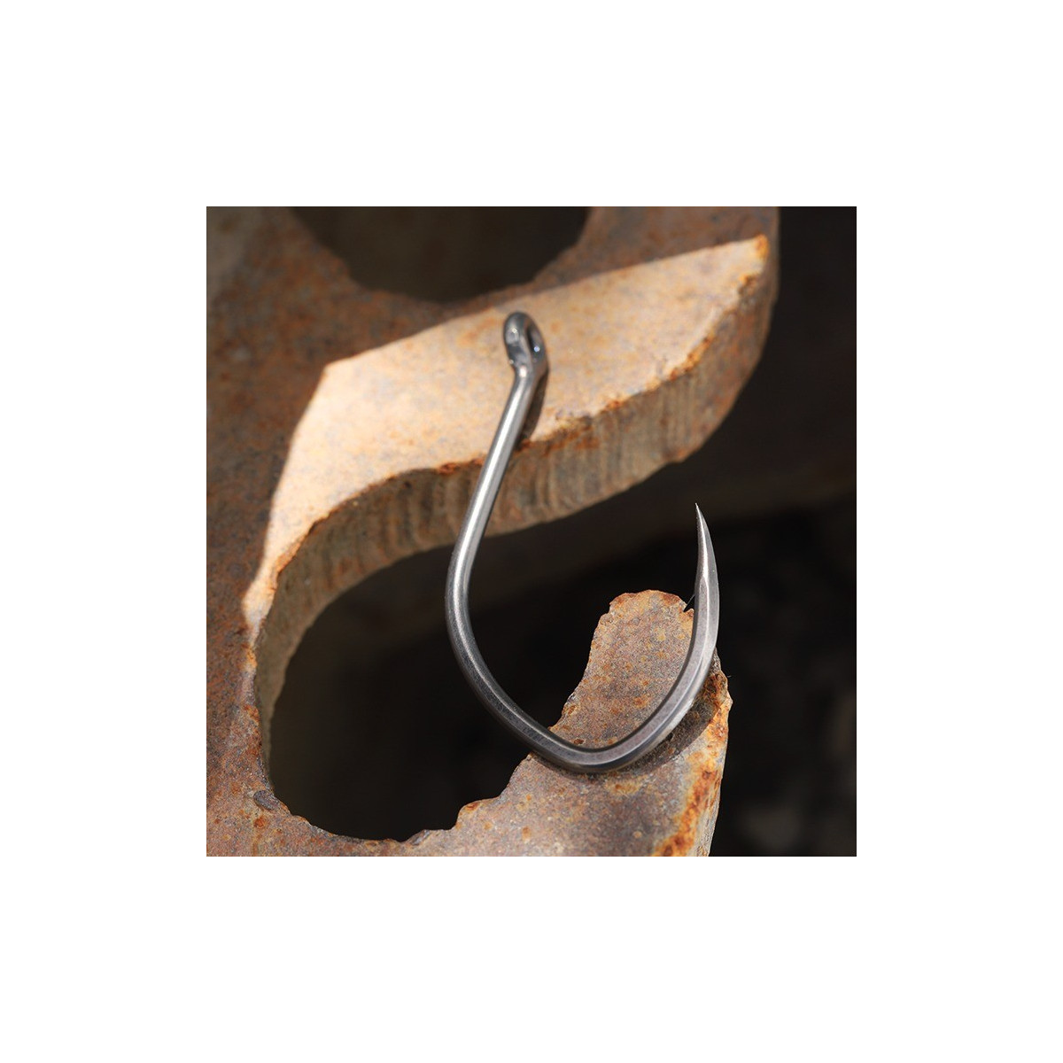 haki-sumowe-beastly-cat-bkk haki-sumowe-beastly-cat-bkk