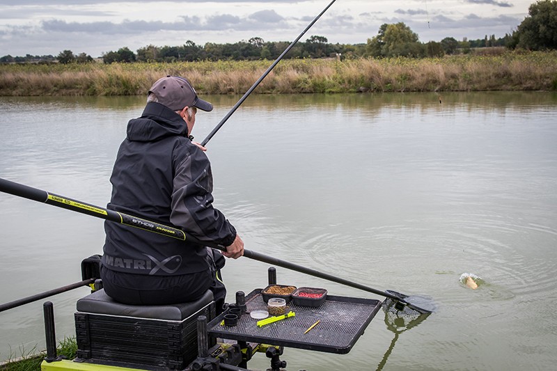 sztyca-ethos-xr-power-matrix sztyca-ethos-xr-power-matrix