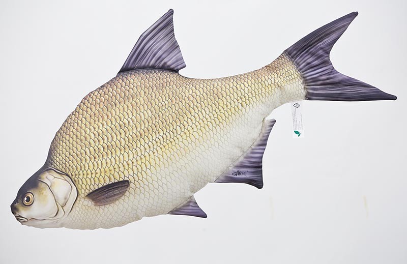 poduszka-maskotka-leszcz-pospolity-gaby poduszka-maskotka-leszcz-pospolity-gaby