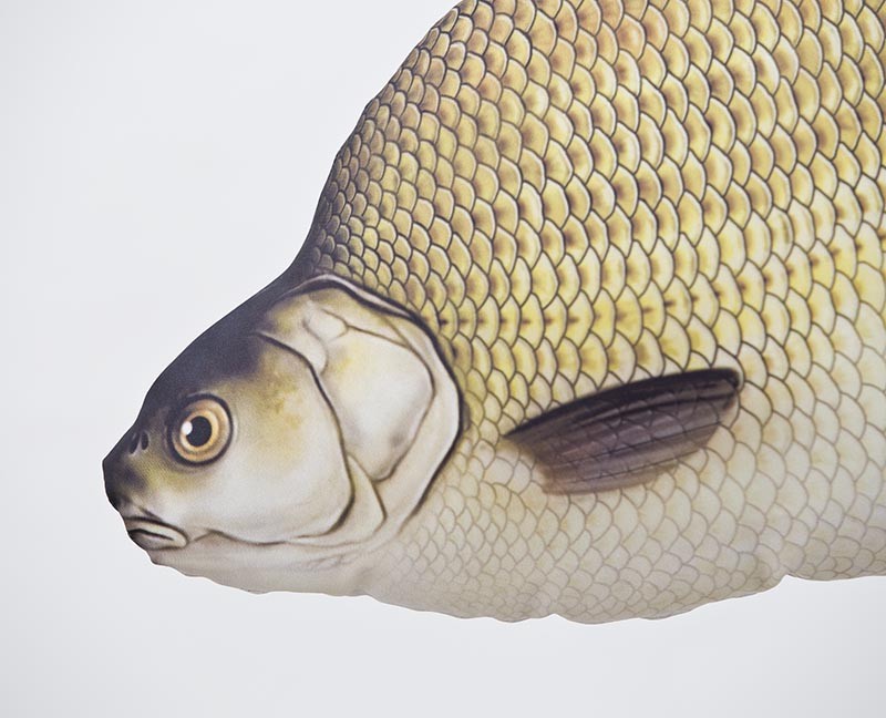 poduszka-maskotka-leszcz-pospolity-gaby poduszka-maskotka-leszcz-pospolity-gaby