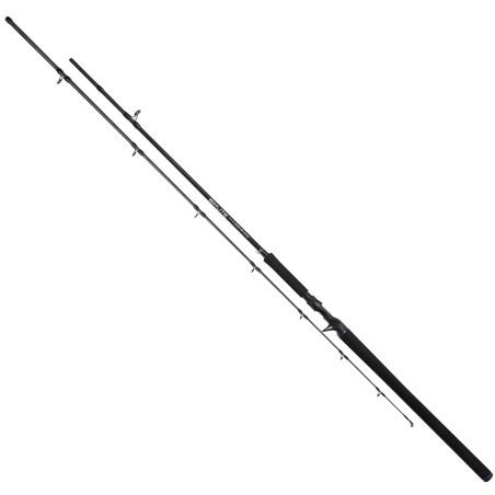 wedka-castingowa-bixlite-pike-master-mikado