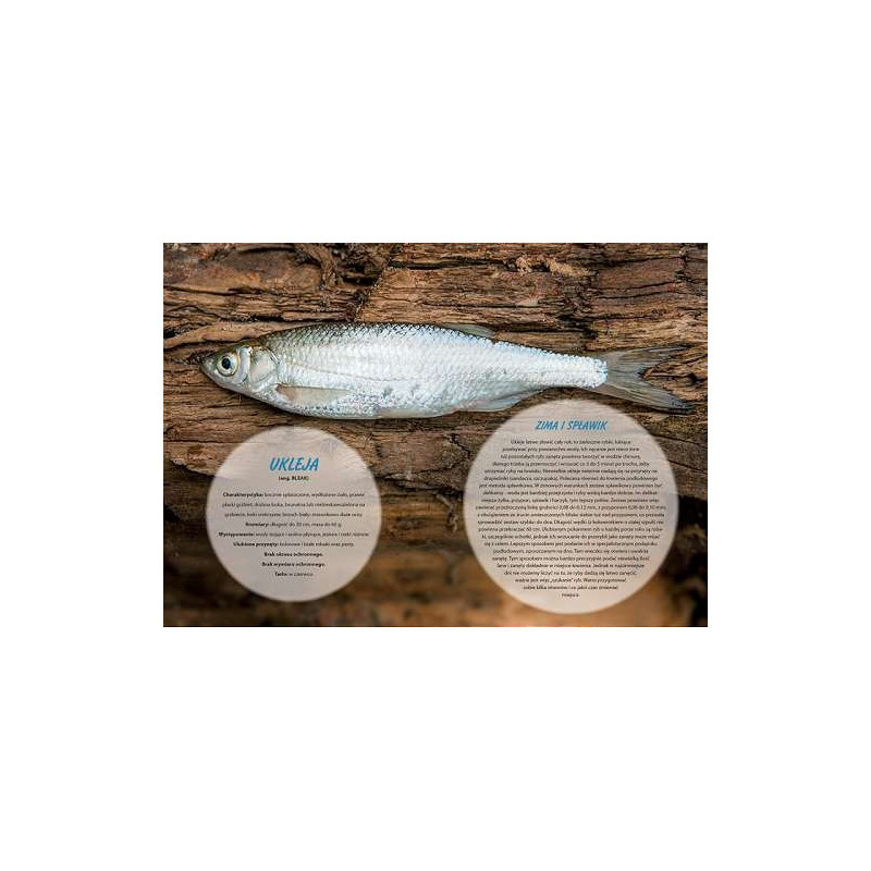 Kalendarz wędkarski 2024 WL12-2024 Lucrum Kalendarz wędkarski 2024 WL12-2024 Lucrum