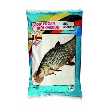 zaneta-big-roach-marcel-van-den-eynde