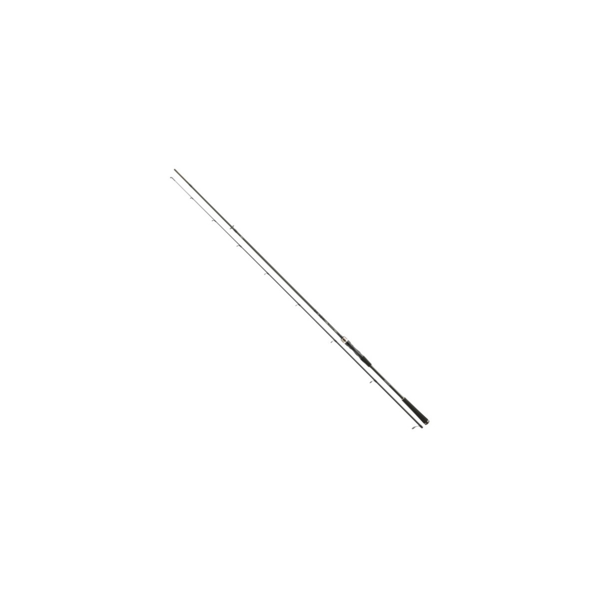 Canne à Pêche DAIWA Exceler Jiggerspin 1002L - 3.05m, 2 Brins, Puissance 3-18g, Action Rapide