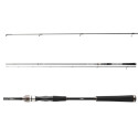 Wędka Daiwa Exceler Jiggerspin 270cm / 7-28g