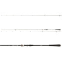 Wędka Daiwa Exceler Sea Trout 315cm / 15-40g