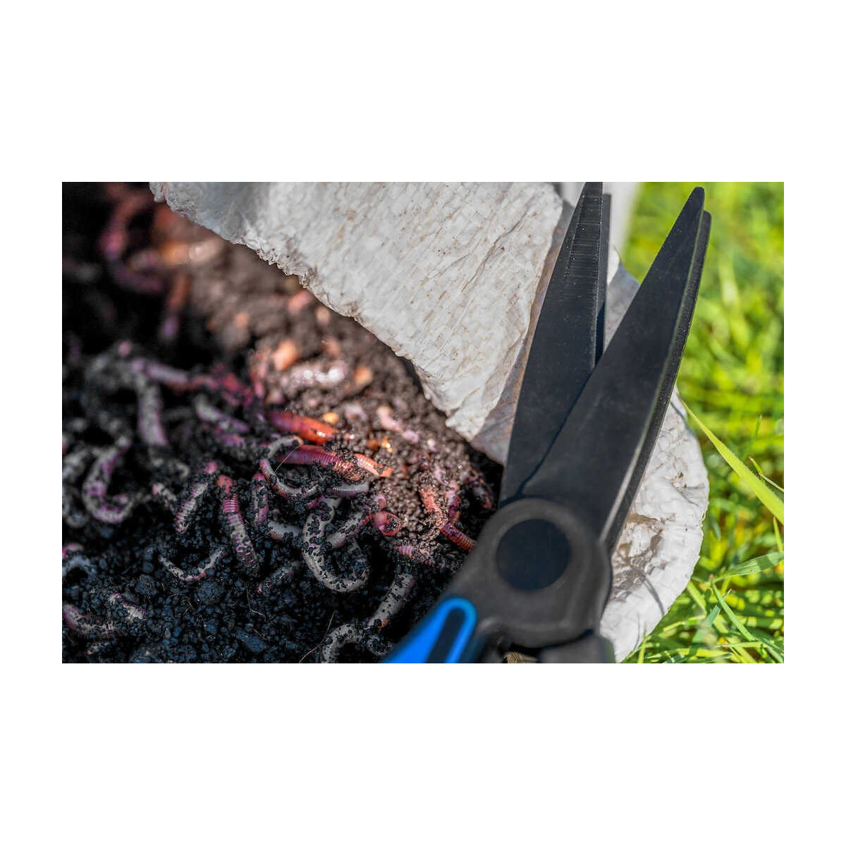 nozyczki-do-robakow-worm-scissors-preston nozyczki-do-robakow-worm-scissors-preston