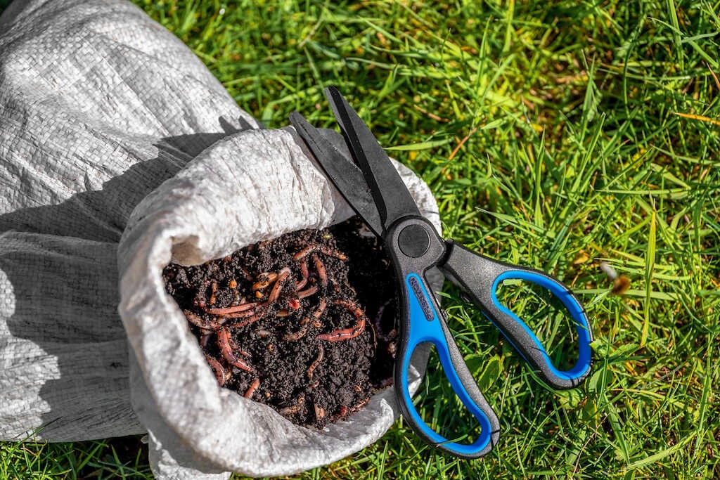 nozyczki-do-robakow-worm-scissors-preston nozyczki-do-robakow-worm-scissors-preston