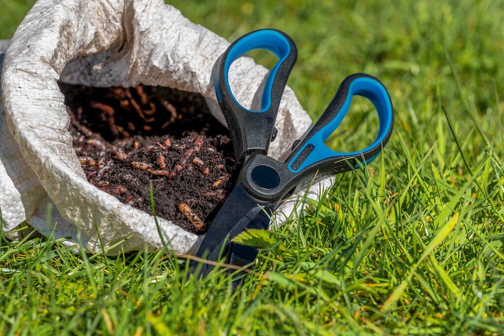 nozyczki-do-robakow-worm-scissors-preston nozyczki-do-robakow-worm-scissors-preston