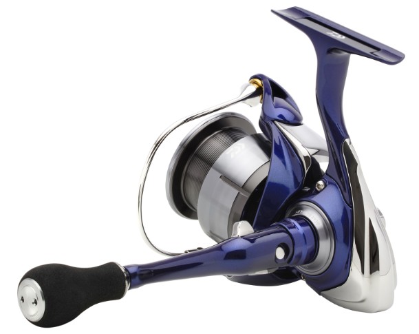 kolowrotek-24-tdr-match-amp-feeder-qd-daiwa kolowrotek-24-tdr-match-amp-feeder-qd-daiwa